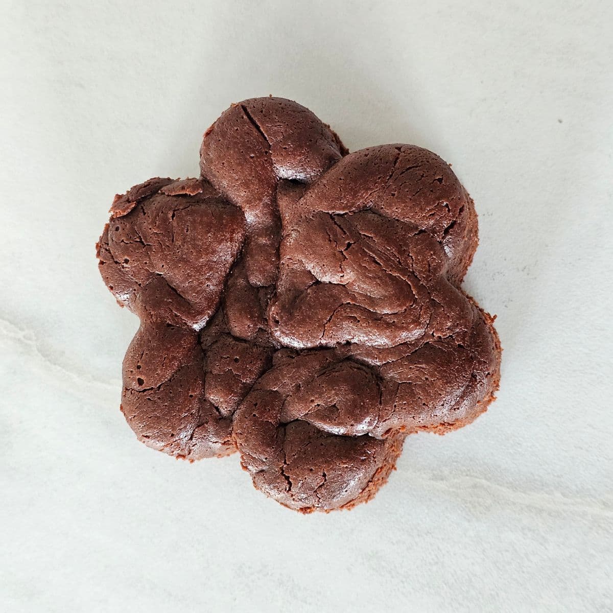 Brownie — La Seconde Part, pâtisserie artisanale au Havre — vue 2