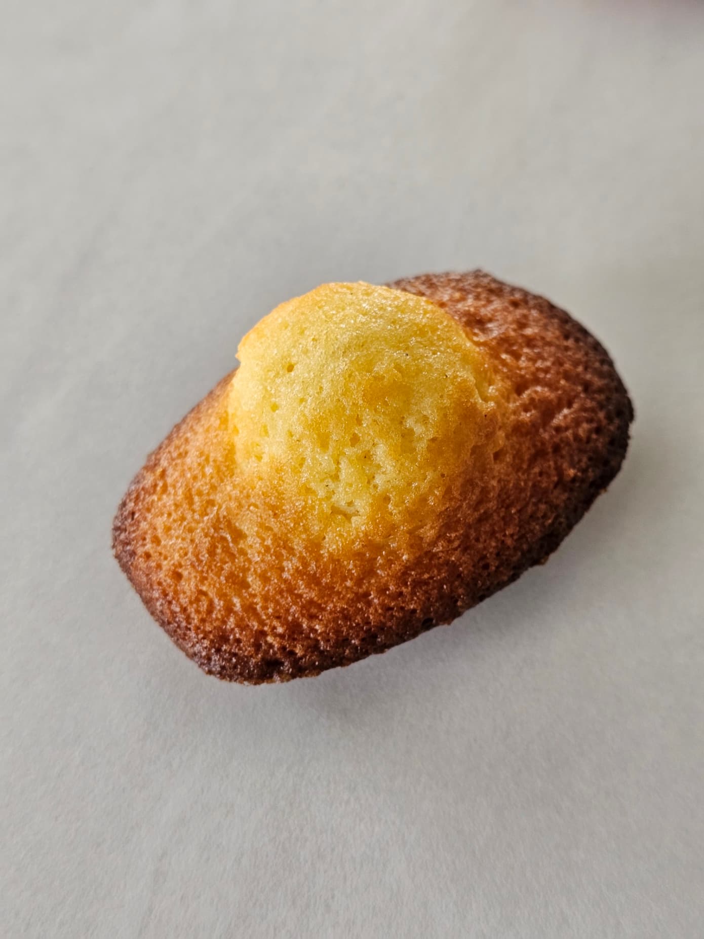 Madeleine — Pâtisserie La Seconde Part, Le Havre